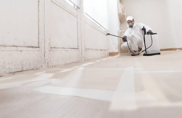 24/7 Emergency Crawl Space Mold Removal experts in Bridgeport, WA