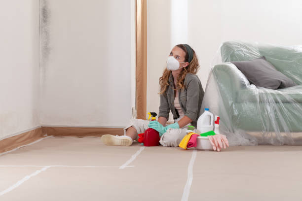 Reliable Crawl Space Mold Removal contractor in Bridgeport, WA by WQB Mold Removal